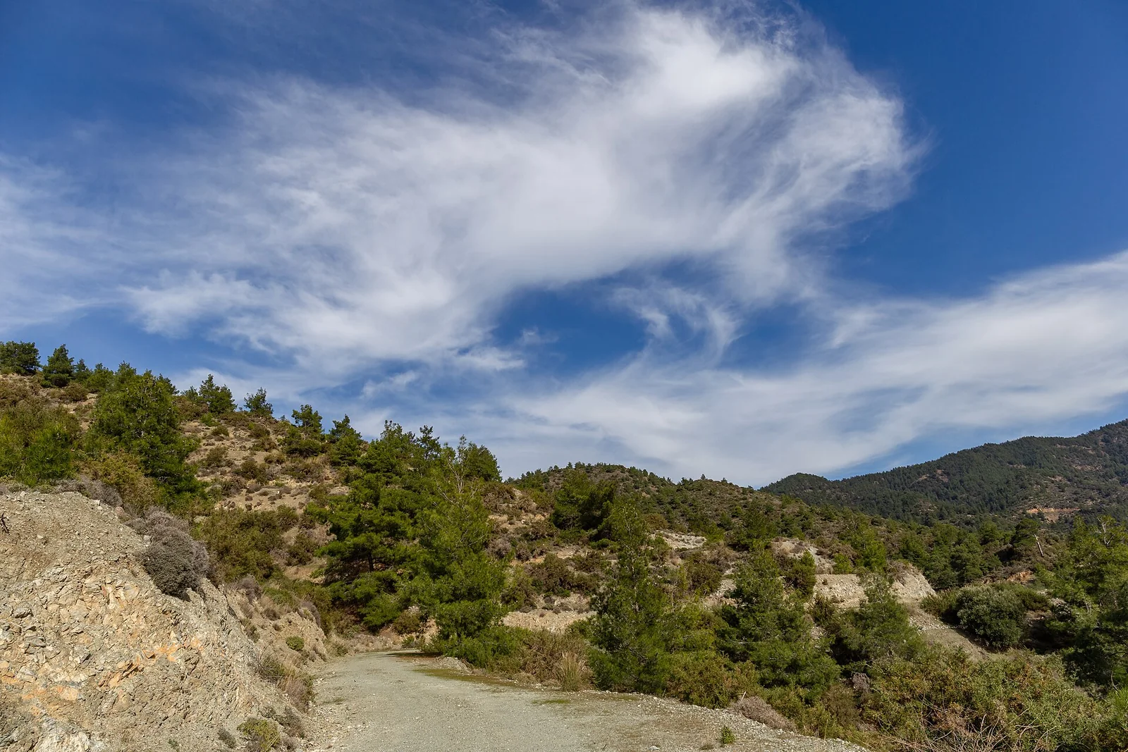 Forest track in the Troodos mountains, Cyprus