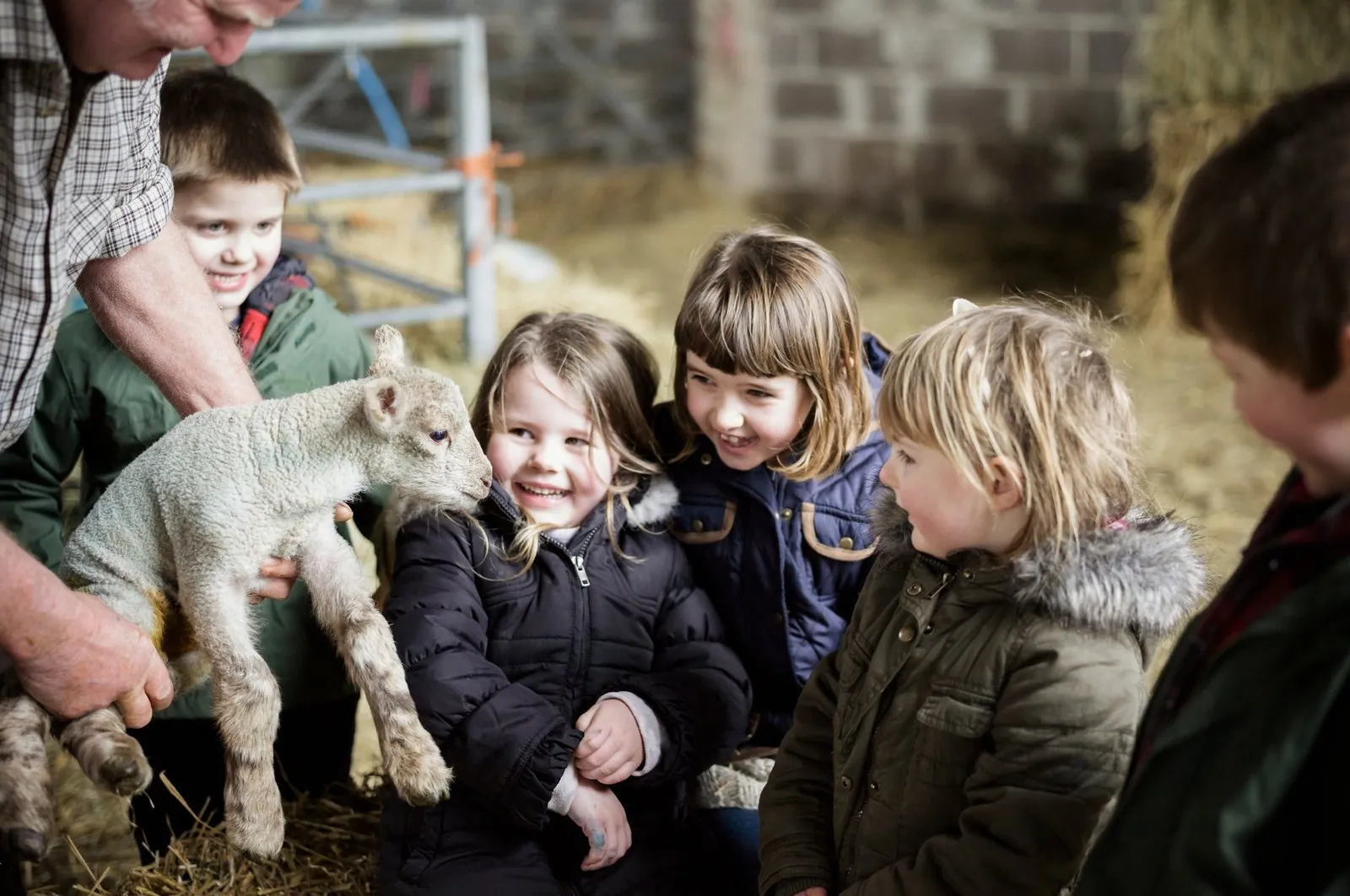 Children with newborn lambs on a farm stay in Cyprus