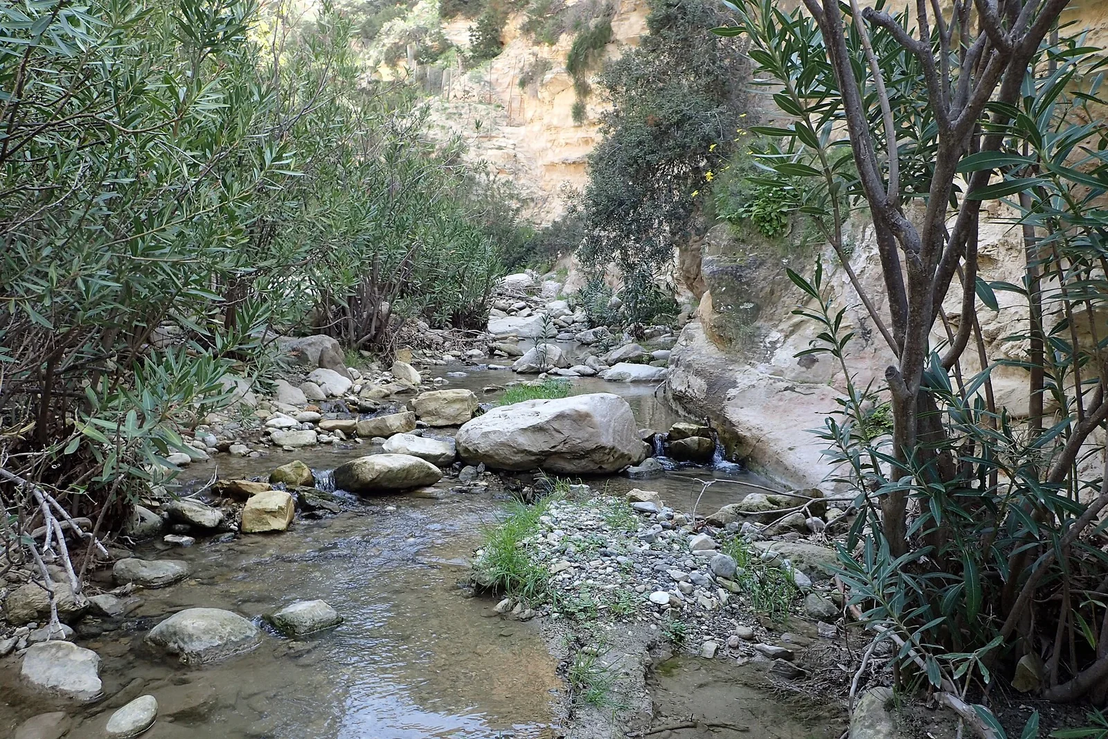 Avakas Gorge on the Akamas Peninsula, Cyprus