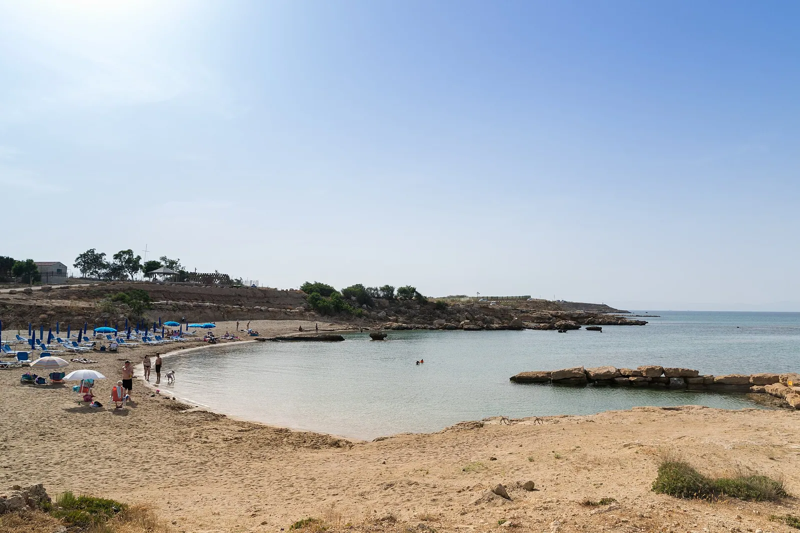 Dog on a beach in Cyprus
