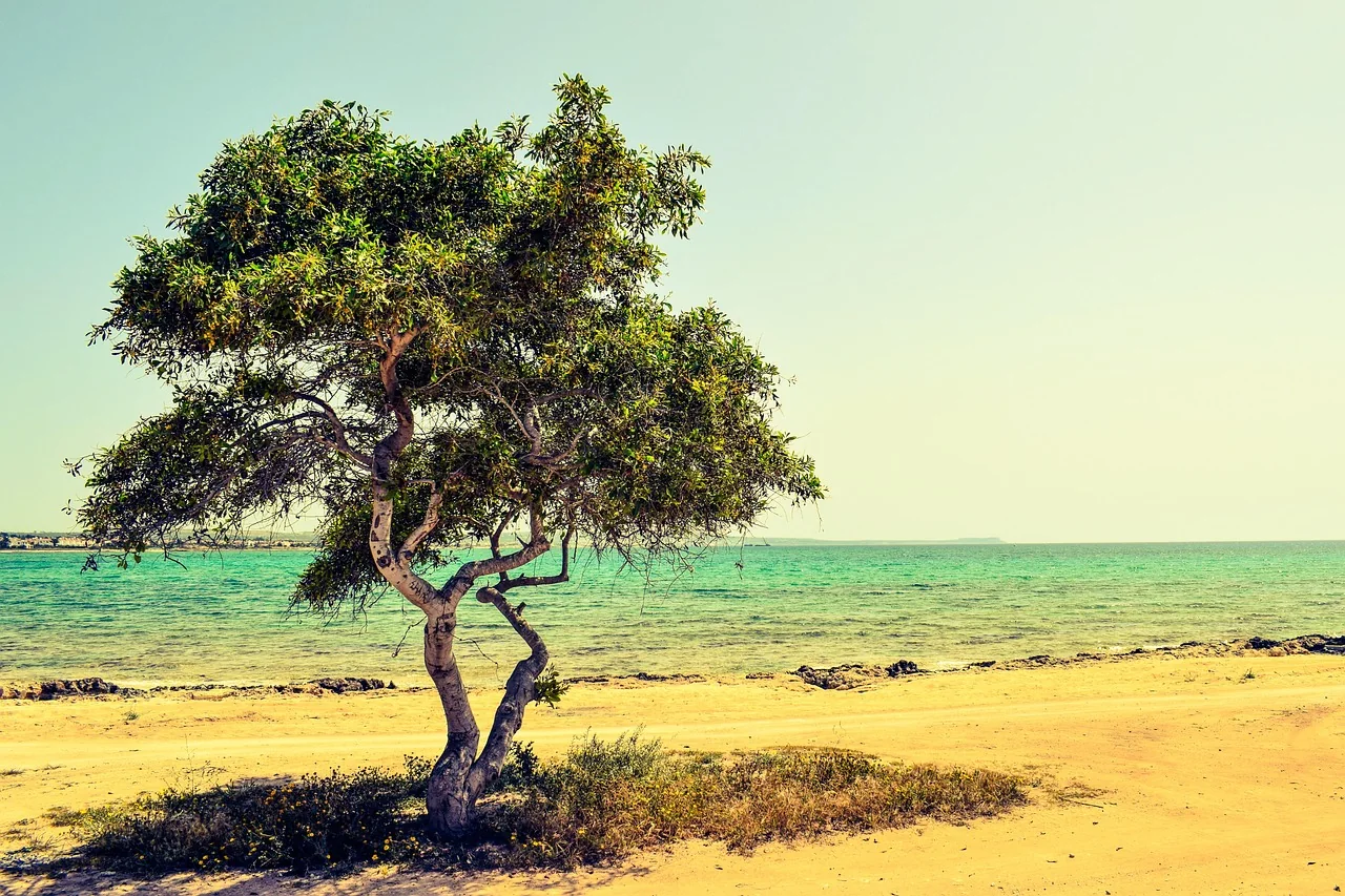 Sunny Cyprus coastline with blue sea and clear sky