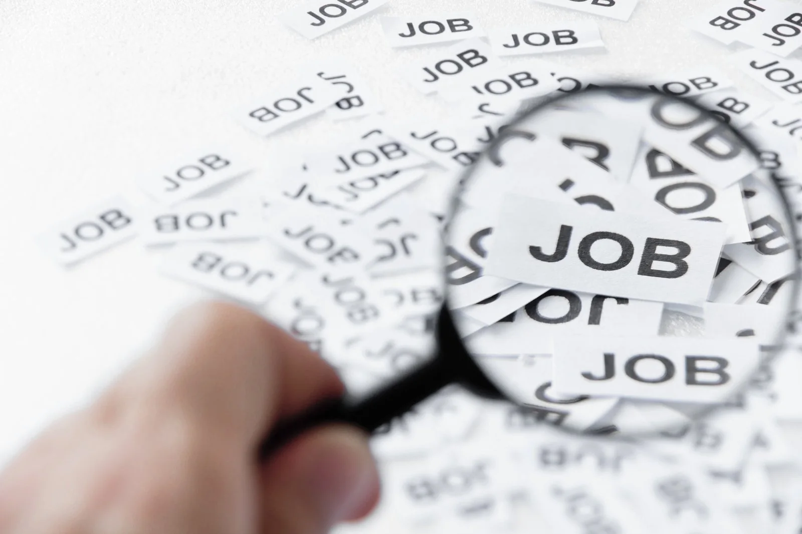 Job search concept