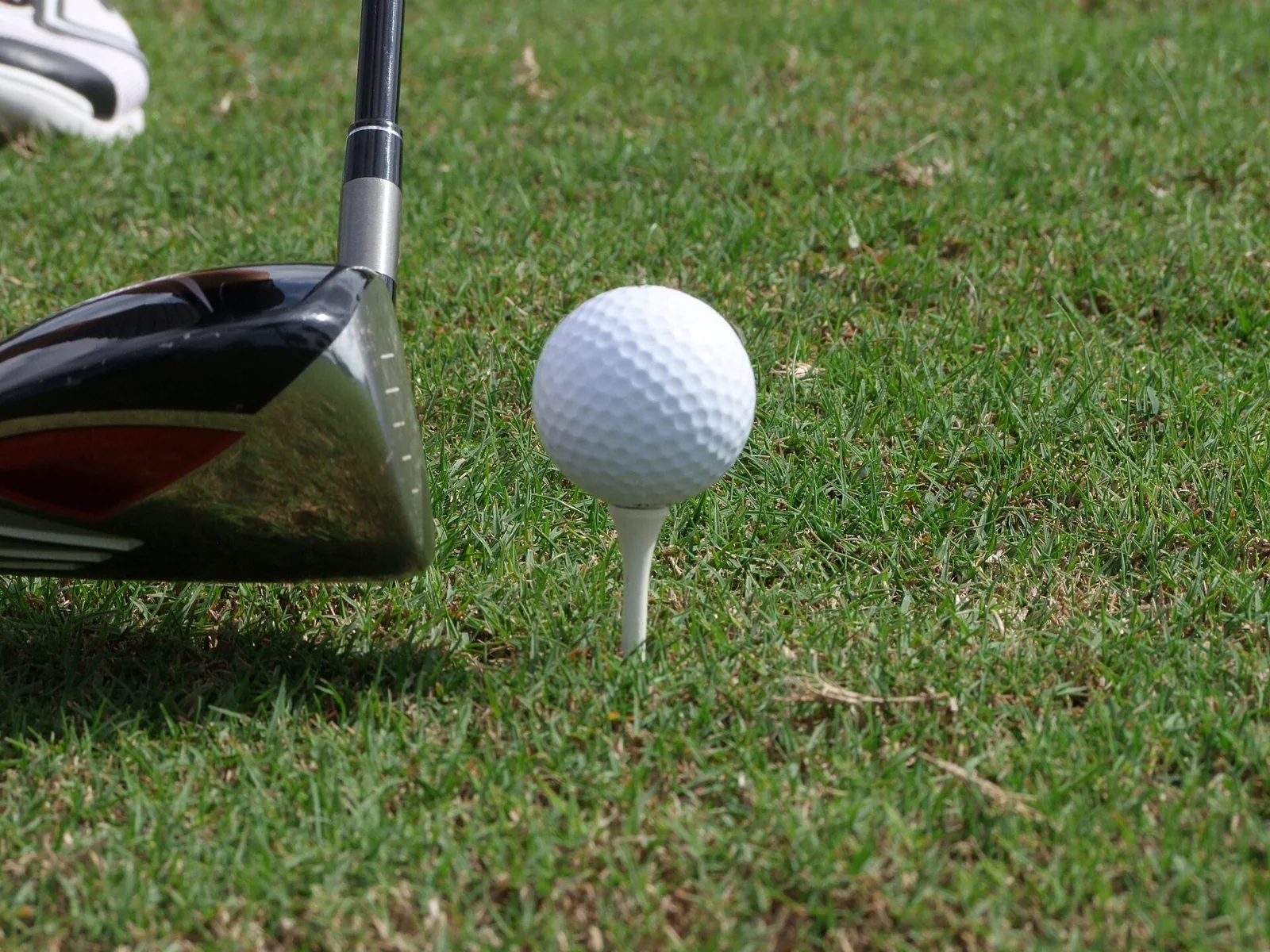 Golf club and ball on a tee, ready for a first lesson