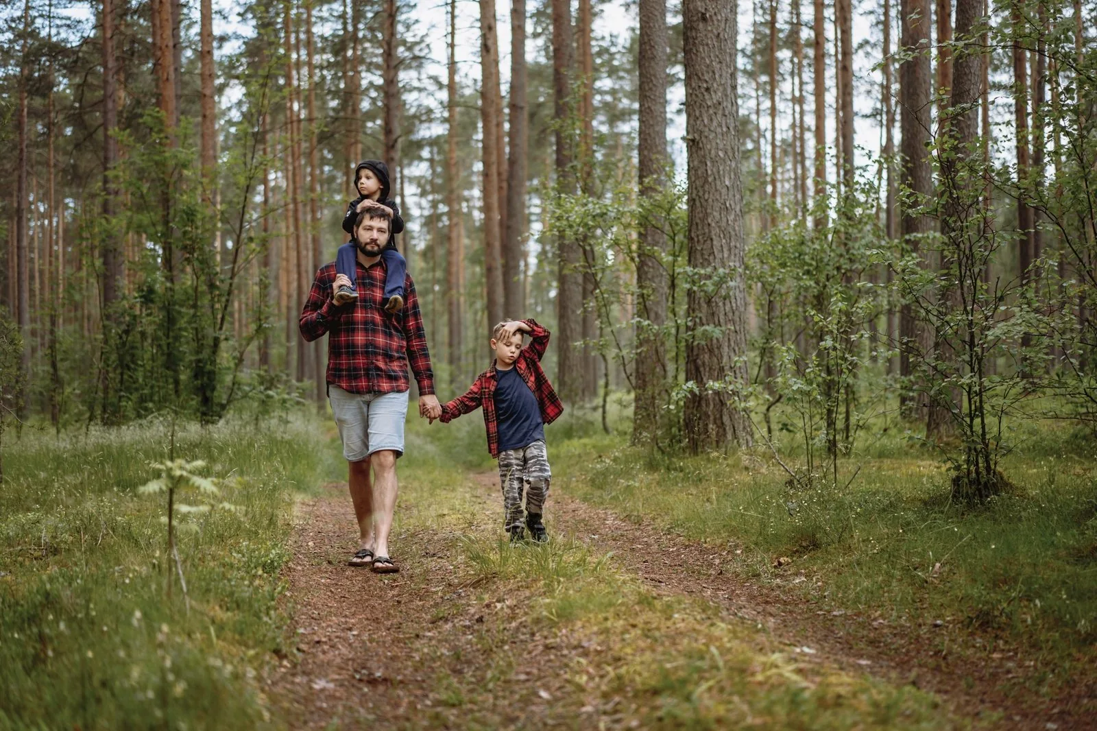 Father and children walking in a Cyprus pine forest