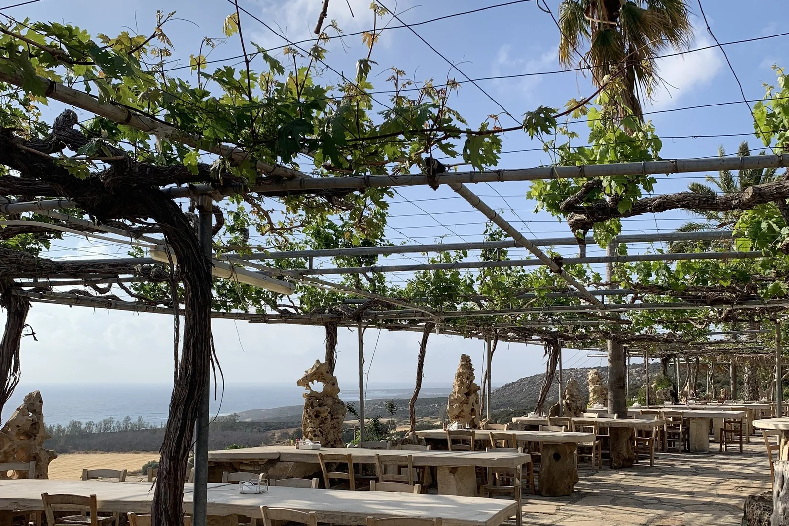 Viklari restaurant terrace under vines, with stone tables and a view of the sea on the Akamas Peninsula
