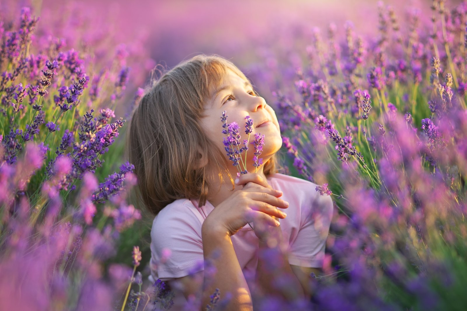 Lavender Festival in Platres 2025
