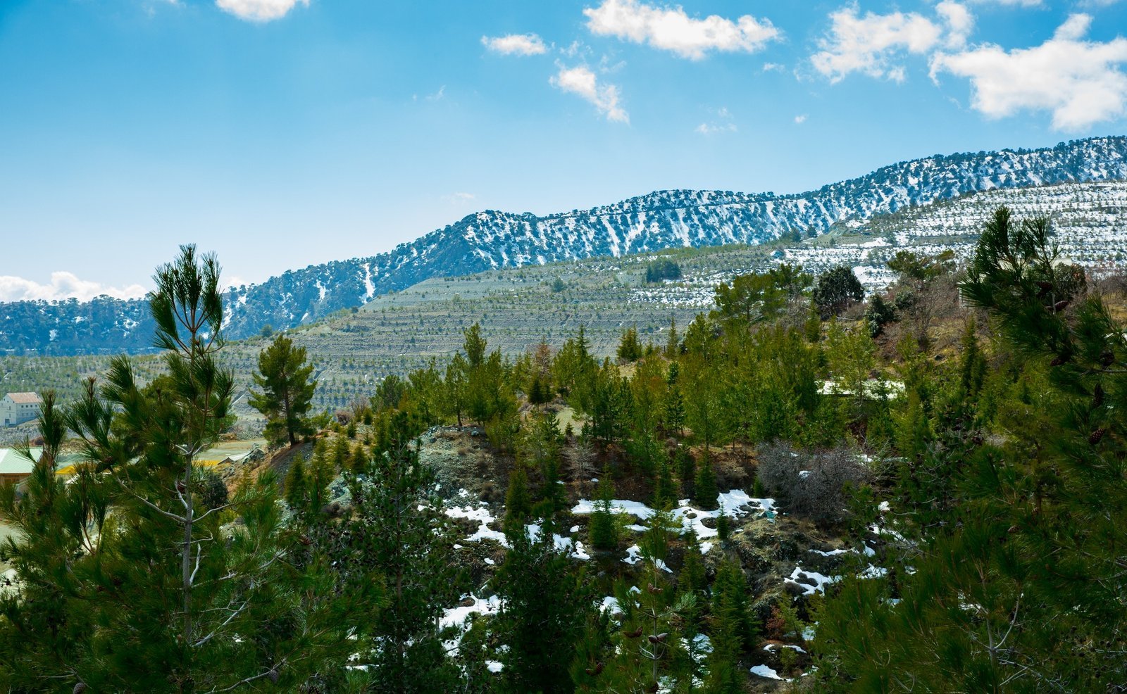 Agros Mountain Fest 2025