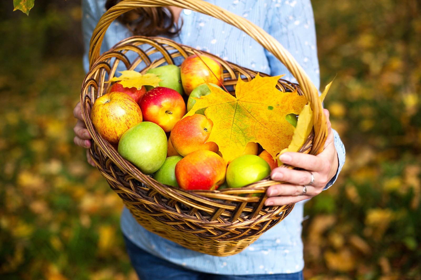 Apple Festival: Fall in Love with Apples, Flavors, and Village Traditions