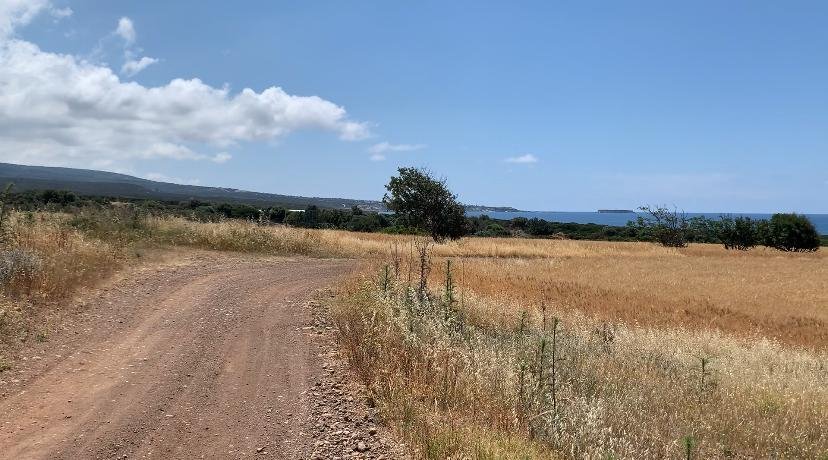 Adonis hiking route terrain