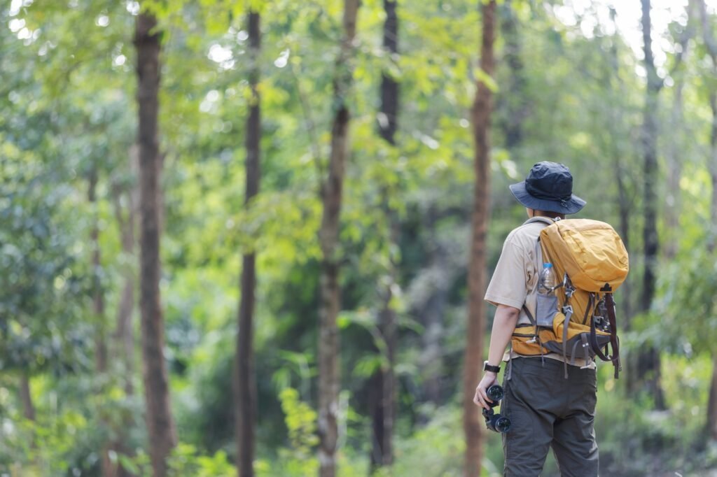 Hiker dressed in outdoor gear on the Artemis trail