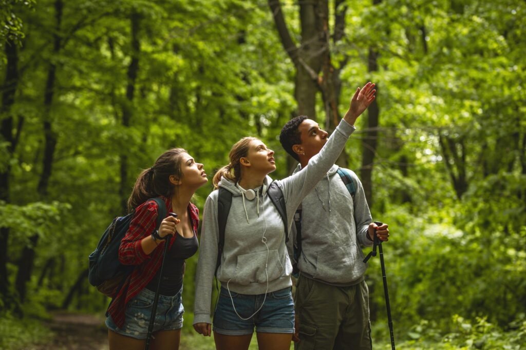 Hiking in nature on the Agia Eirini route